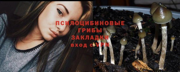 гашишное масло Алексеевка
