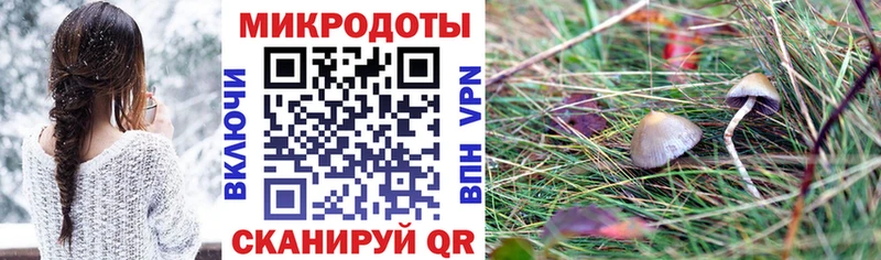 Галлюциногенные грибы ЛСД Дзержинский