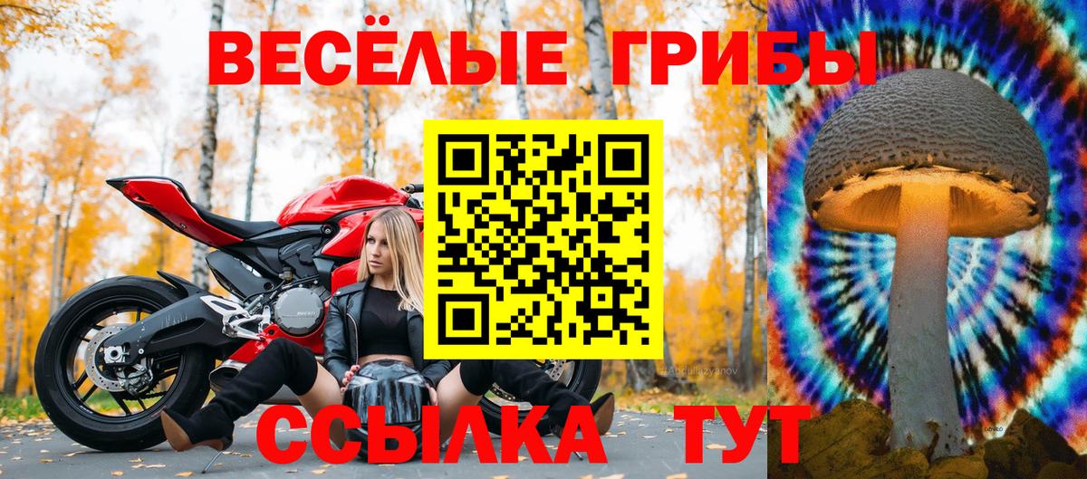 Псилоцибиновые грибы Psilocybine cubensis  Вход с VPN  Дзержинский 
