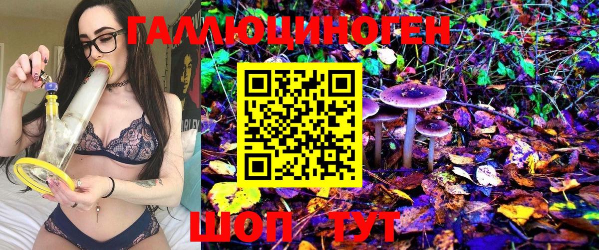 Галлюциногенные грибы Psilocybine cubensis Дзержинский
